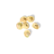 Tortellini